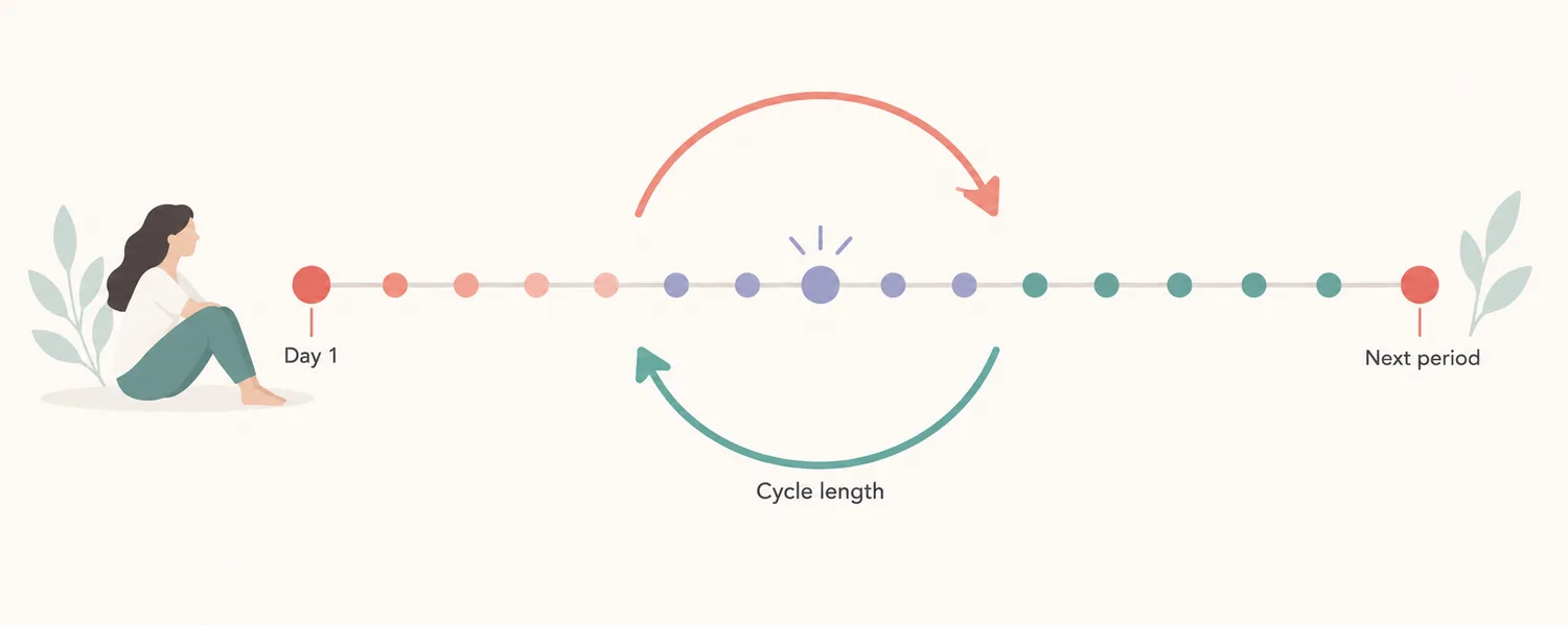 A cycle timeline marks the first day of a period, the cycle length, and the next estimated period start.